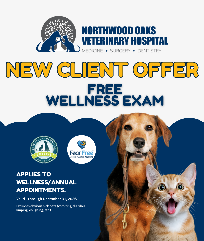 Book An Appointment Northwood Oaks Veterinary Hospital