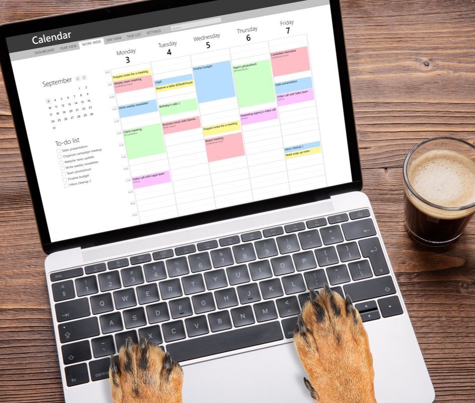 Book An Appointment Northwood Oaks Veterinary Hospital