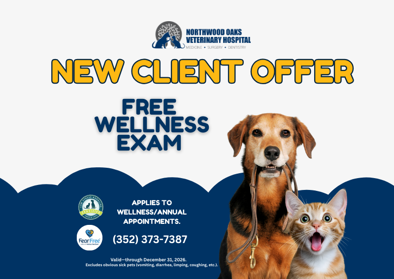 Carousel Slide 1: Book An Appointment